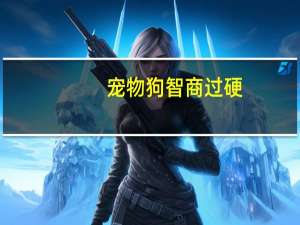 宠物狗智商过硬