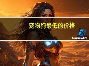 宠物狗最低的价格