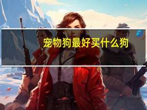 宠物狗最好买什么狗