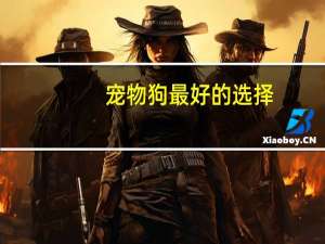 宠物狗最好的选择