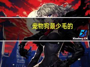 宠物狗最少毛的