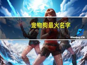 宠物狗最火名字