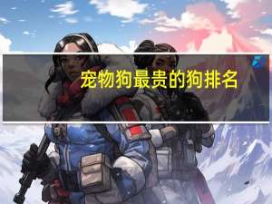 宠物狗最贵的狗排名