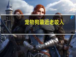宠物狗最近老咬人