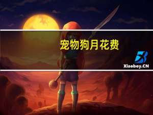 宠物狗月花费