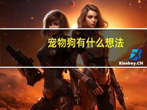 宠物狗有什么想法