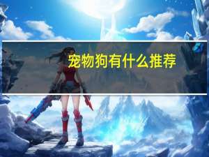 宠物狗有什么推荐