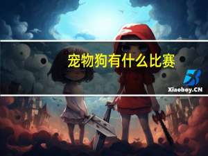 宠物狗有什么比赛