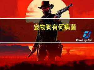 宠物狗有何病菌