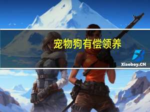 宠物狗有偿领养