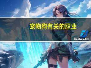 宠物狗有关的职业