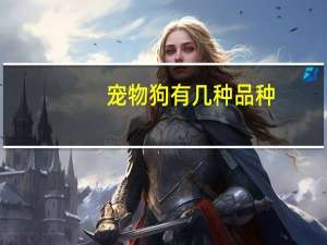 宠物狗有几种品种