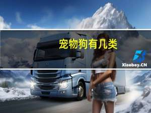 宠物狗有几类
