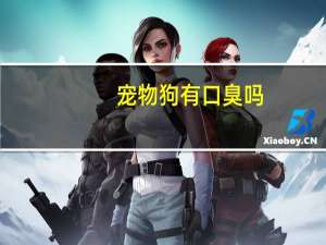 宠物狗有口臭吗