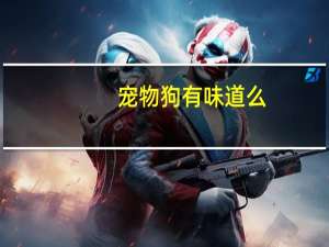 宠物狗有味道么