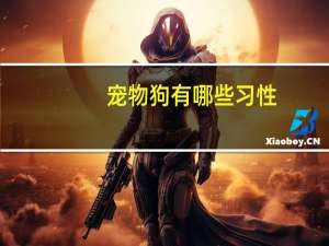 宠物狗有哪些习性