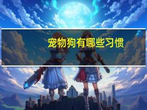 宠物狗有哪些习惯