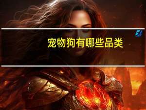 宠物狗有哪些品类