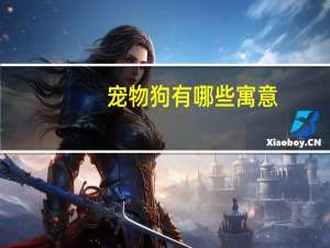 宠物狗有哪些寓意