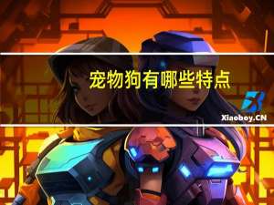 宠物狗有哪些特点