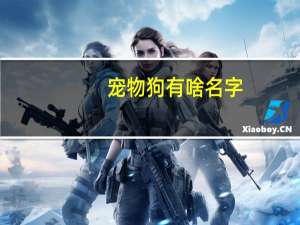 宠物狗有啥名字