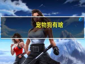 宠物狗有啥