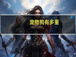 宠物狗有多重