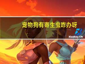 宠物狗有寄生虫咋办呀