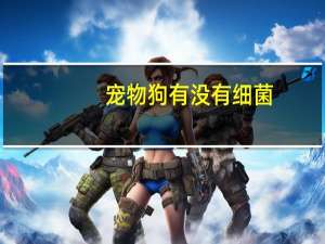 宠物狗有没有细菌