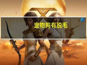 宠物狗有脱毛