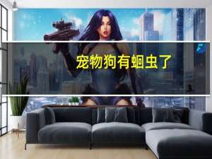 宠物狗有蛔虫了