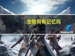 宠物狗有记忆吗