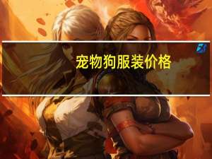 宠物狗服装价格