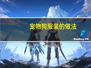 宠物狗服装的做法