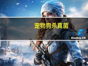 宠物狗杀真菌