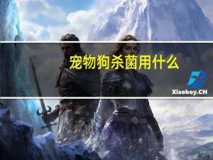 宠物狗杀菌用什么