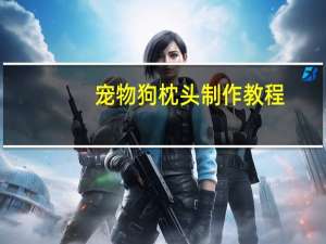 宠物狗枕头制作教程