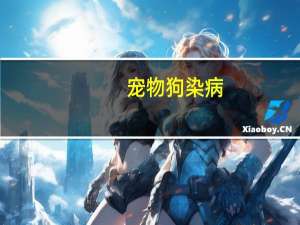 宠物狗染病