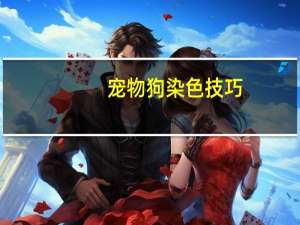 宠物狗染色技巧