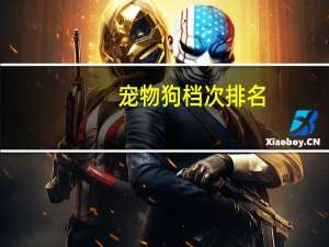 宠物狗档次排名