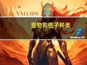 宠物狗梳子种类