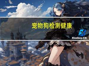 宠物狗检测健康