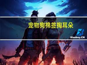 宠物狗棉签掏耳朵