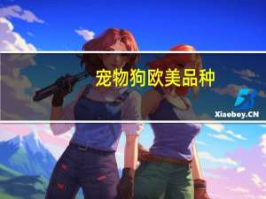 宠物狗欧美品种