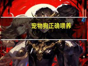 宠物狗正确喂养