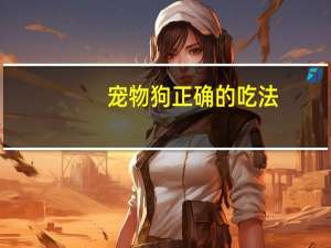 宠物狗正确的吃法