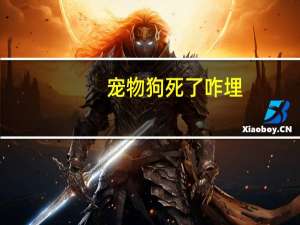 宠物狗死了咋埋