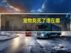 宠物狗死了埋在哪