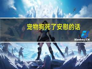 宠物狗死了安慰的话