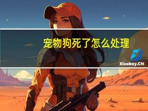 宠物狗死了怎么处理